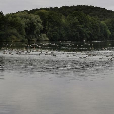 Hornbrooker Hostel Dersau Zewnętrze zdjęcie
