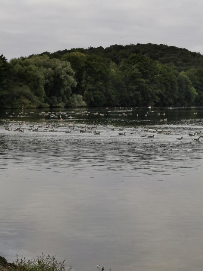 Hornbrooker Hostel Dersau Zewnętrze zdjęcie